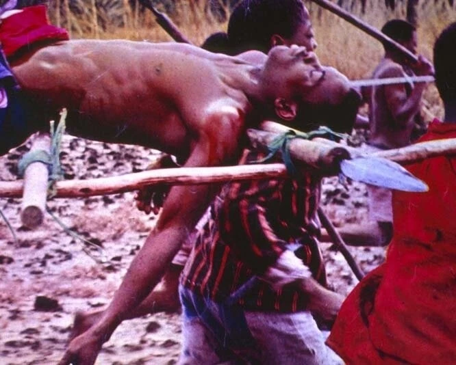 Прощай, Африка (1965) в хорошем качестве смотреть онлайн Прощай, Африка (1965) фильм в хорошем качестве смотреть онлайн