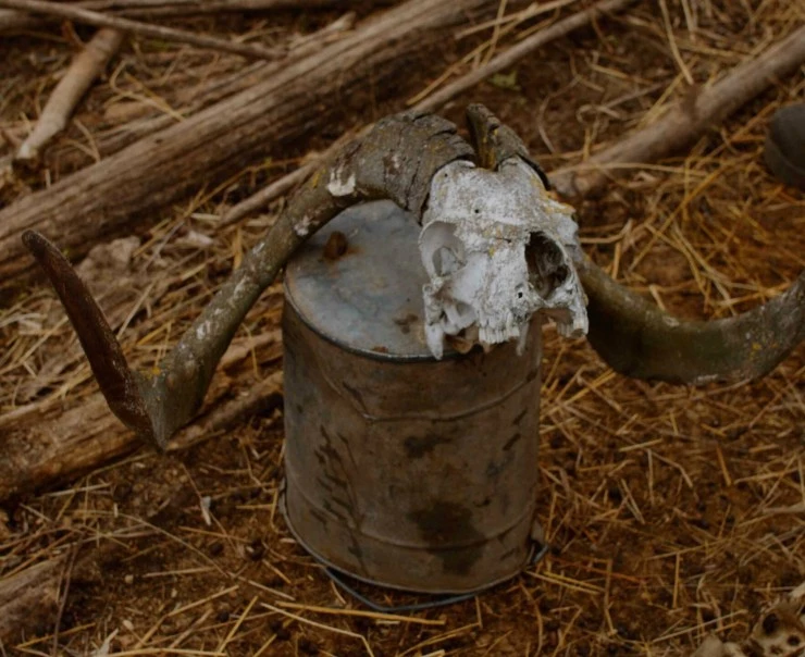 Помощь Док (2022) смотреть онлайн бесплатно Помощь Док (2022) фильм смотреть онлайн бесплатно