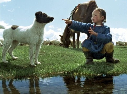 Пещера желтого пса (2005) смотреть онлайн бесплатно Пещера желтого пса (2005) фильм смотреть онлайн бесплатно