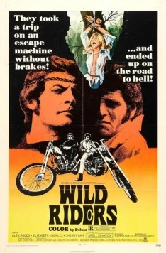 Дикие мятежники / Wild Riders (1971) фильм смотреть онлайн в хорошем качестве
