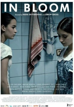 Длинные светлые дни / Grzeli nateli dgeebi (2013) фильм смотреть онлайн в хорошем качестве