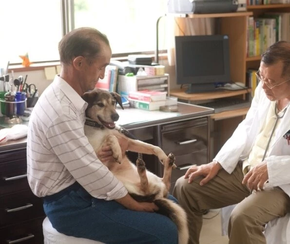 Дорогой доктор (2009) смотреть онлайн Дорогой доктор (2009) фильм смотреть онлайн