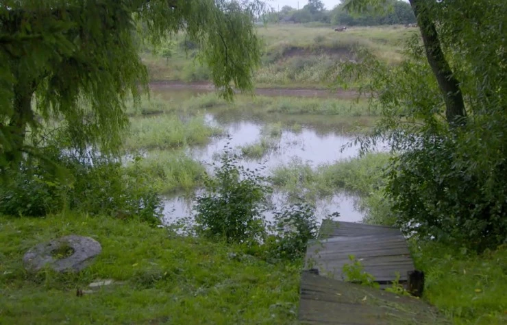 Бунинъ (2024) смотреть онлайн Бунинъ (2024) фильм смотреть онлайн