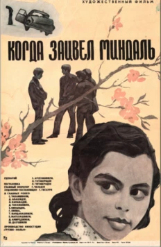 Когда зацвел миндаль (1972) фильм смотреть онлайн в хорошем качестве