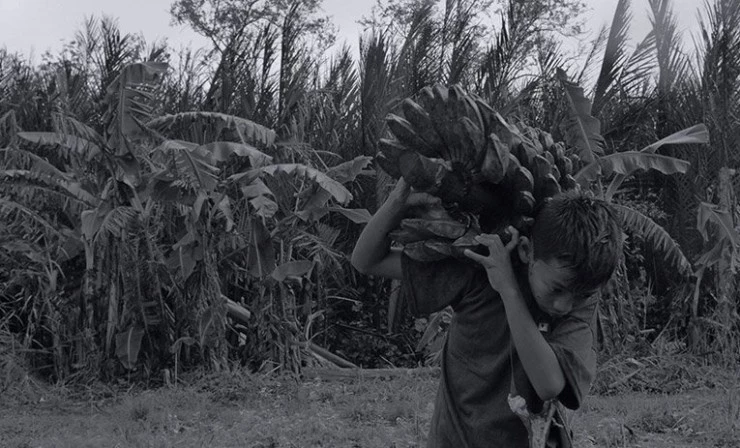 От предшествующего (2014) смотреть онлайн бесплатно От предшествующего (2014) фильм смотреть онлайн бесплатно