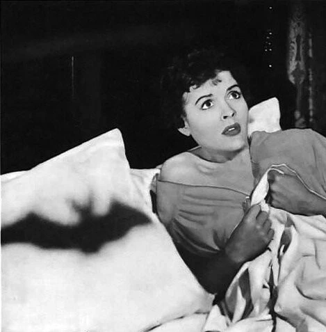 Летучая мышь (1959) смотреть онлайн Летучая мышь (1959) фильм смотреть онлайн