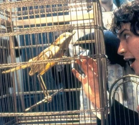 Волшебник страны грез (2003) смотреть онлайн Волшебник страны грез (2003) фильм смотреть онлайн