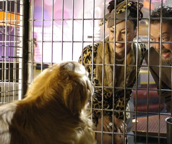 Миллиарды Бэйли (2005) в хорошем качестве смотреть онлайн Миллиарды Бэйли (2005) фильм в хорошем качестве смотреть онлайн