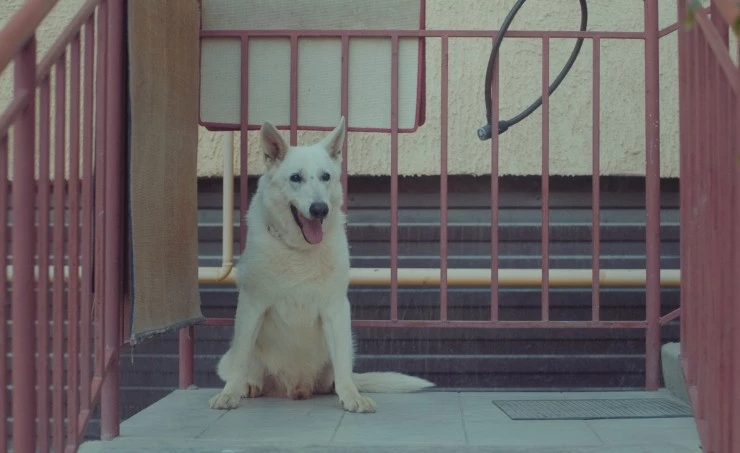 Меня зовут Любовь (2024) смотреть онлайн бесплатно Меня зовут Любовь (2024) фильм смотреть онлайн бесплатно