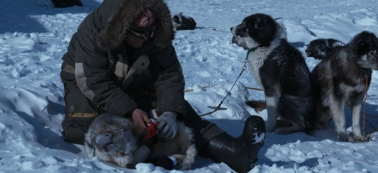 Жить с Надеждой (2022) смотреть онлайн Жить с Надеждой (2022) фильм смотреть онлайн