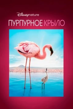 Пурпурное крыло / The Crimson Wing: Mystery of the Flamingos (2008) фильм смотреть онлайн в хорошем качестве
