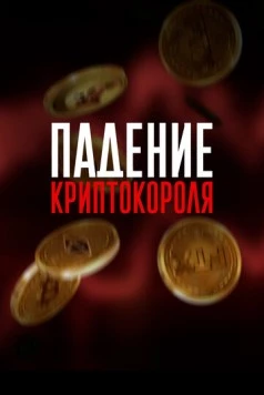 Падение криптокороля / Downfall of the Crypto King (2024) фильм смотреть онлайн в хорошем качестве