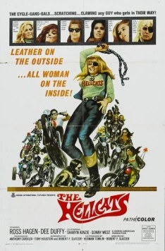 Адские киски / The Hellcats (1968) фильм смотреть онлайн Адские киски / The Hellcats (1968) фильм смотреть онлайн в хорошем качестве