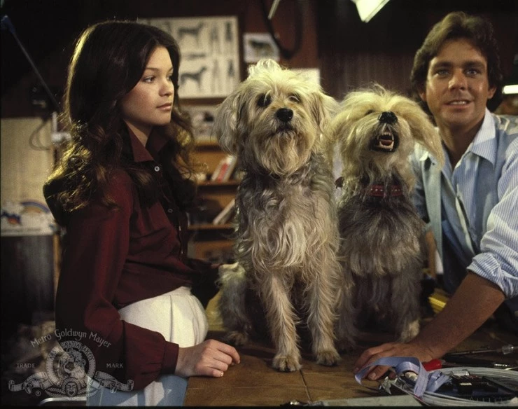 Собачья охранная система дома (1979) смотреть онлайн бесплатно Собачья охранная система дома (1979) фильм смотреть онлайн бесплатно