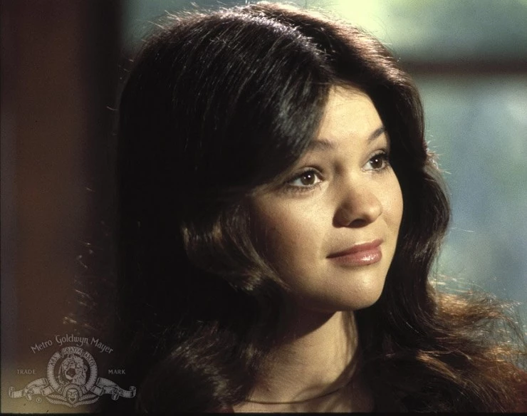 Собачья охранная система дома (1979) смотреть онлайн Собачья охранная система дома (1979) фильм смотреть онлайн