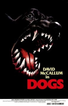Псы / Dogs (1976) фильм смотреть онлайн Псы / Dogs (1976) фильм смотреть онлайн в хорошем качестве