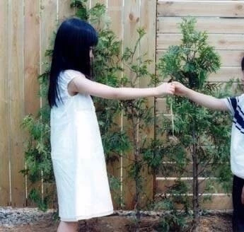 Акация (2003) смотреть онлайн бесплатно Акация (2003) фильм смотреть онлайн бесплатно