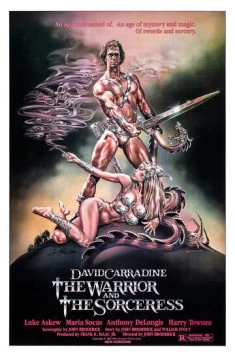 Воин и колдунья / The Warrior and the Sorceress (1984) фильм смотреть онлайн в хорошем качестве