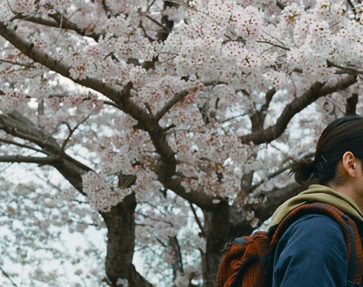 Великое отсутствие (2023) смотреть онлайн Великое отсутствие (2023) фильм смотреть онлайн