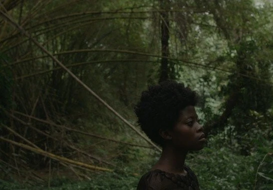 Кваку Ананси (2013) в хорошем качестве смотреть онлайн Кваку Ананси (2013) фильм в хорошем качестве смотреть онлайн