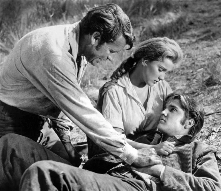 Люби меня нежно (1956) смотреть онлайн Люби меня нежно (1956) фильм смотреть онлайн