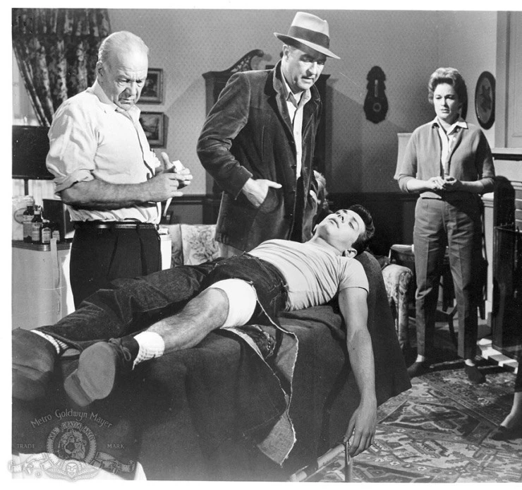 Паника в нулевом году (1962) смотреть онлайн бесплатно Паника в нулевом году (1962) фильм смотреть онлайн бесплатно