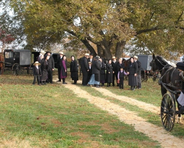 Отлучение (2011) смотреть онлайн бесплатно Отлучение (2011) фильм смотреть онлайн бесплатно