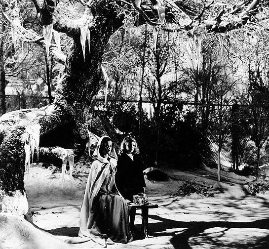 Проклятие людей-кошек (1944) смотреть онлайн бесплатно Проклятие людей-кошек (1944) фильм смотреть онлайн бесплатно