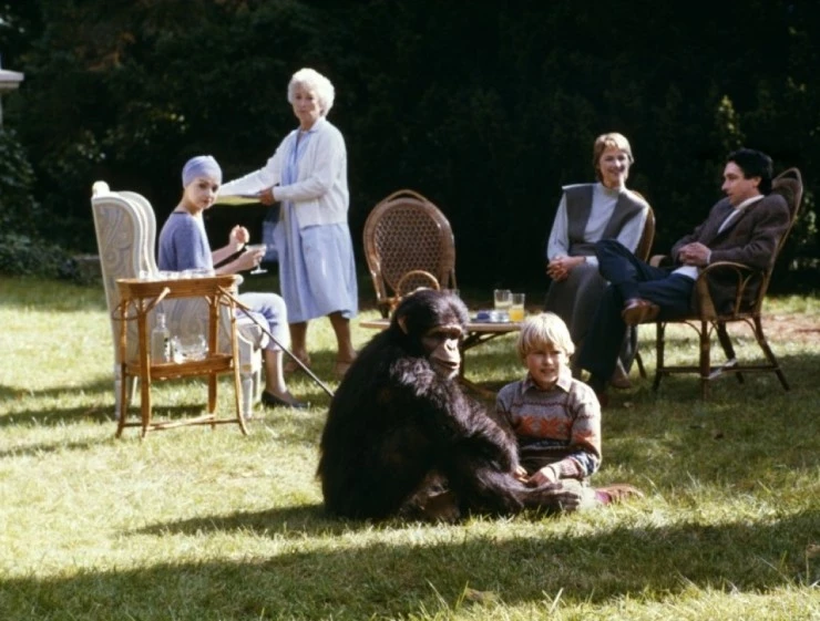 Макс, моя любовь (1986) в хорошем качестве смотреть онлайн Макс, моя любовь (1986) фильм в хорошем качестве смотреть онлайн