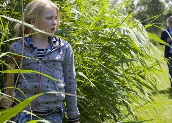 Секретное письмо (2010) смотреть онлайн Секретное письмо (2010) фильм смотреть онлайн