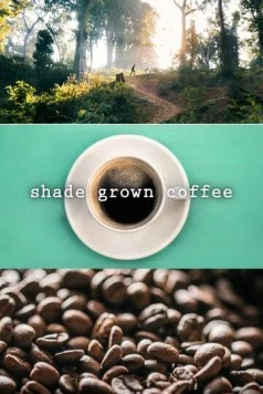 Кофе в тени / Shade Grown Coffee (2020) фильм смотреть онлайн Кофе в тени / Shade Grown Coffee (2020) фильм смотреть онлайн в хорошем качестве