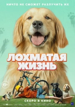 Лохматая жизнь / Алдагдсан өдрүүд (2023) фильм смотреть онлайн Лохматая жизнь / Алдагдсан өдрүүд (2023) фильм смотреть онлайн в хорошем качестве