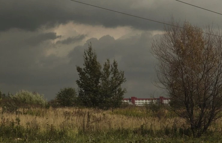 Пастух (2012) смотреть онлайн Пастух (2012) фильм смотреть онлайн