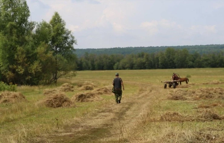 Живи, солдат, живи (2015) в хорошем качестве смотреть онлайн Живи, солдат, живи (2015) фильм в хорошем качестве смотреть онлайн