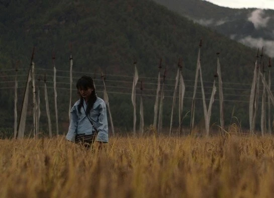 3 года и 3 месяца отступления (2015) смотреть онлайн 3 года и 3 месяца отступления (2015) фильм смотреть онлайн