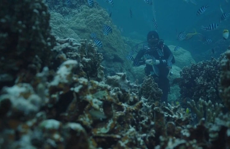 Молодой человек и глубокое море (2024) смотреть онлайн Молодой человек и глубокое море (2024) фильм смотреть онлайн