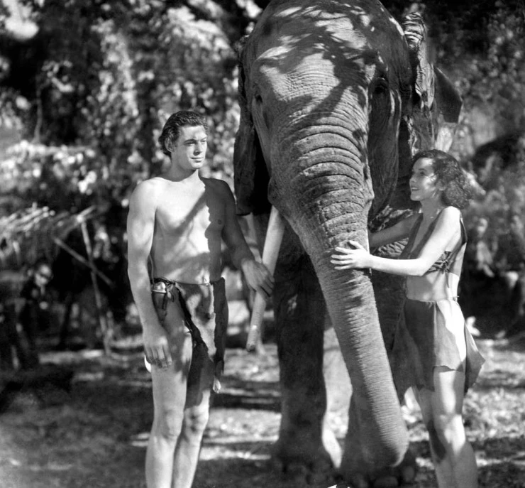 Тарзан и его подруга (1934) в хорошем качестве смотреть онлайн Тарзан и его подруга (1934) фильм в хорошем качестве смотреть онлайн