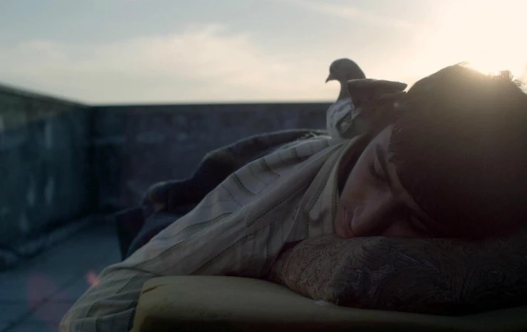 Письмо королю (2014) в хорошем качестве смотреть онлайн Письмо королю (2014) фильм в хорошем качестве смотреть онлайн