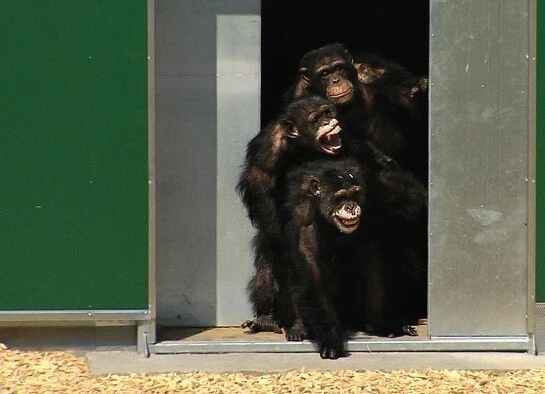 Искупление невозможно (2013) смотреть онлайн Искупление невозможно (2013) фильм смотреть онлайн