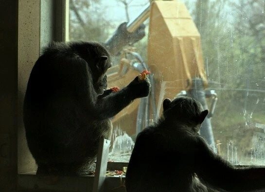 Искупление невозможно (2013) смотреть онлайн бесплатно Искупление невозможно (2013) фильм смотреть онлайн бесплатно