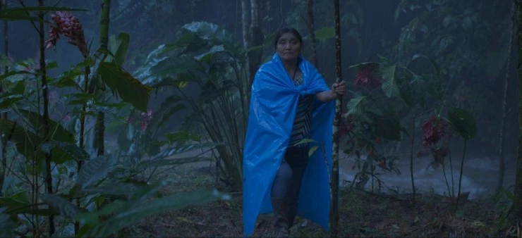 Белая ночь (2022) смотреть онлайн Белая ночь (2022) фильм смотреть онлайн