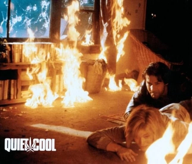 Тихая прохлада (1986) в хорошем качестве смотреть онлайн Тихая прохлада (1986) фильм в хорошем качестве смотреть онлайн