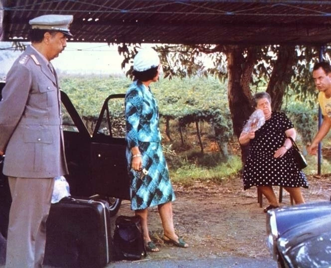 Белый, красный и зеленый (1981) в хорошем качестве смотреть онлайн Белый, красный и зеленый (1981) фильм в хорошем качестве смотреть онлайн