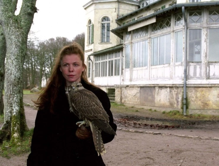 Соколы (2002) смотреть онлайн бесплатно Соколы (2002) фильм смотреть онлайн бесплатно