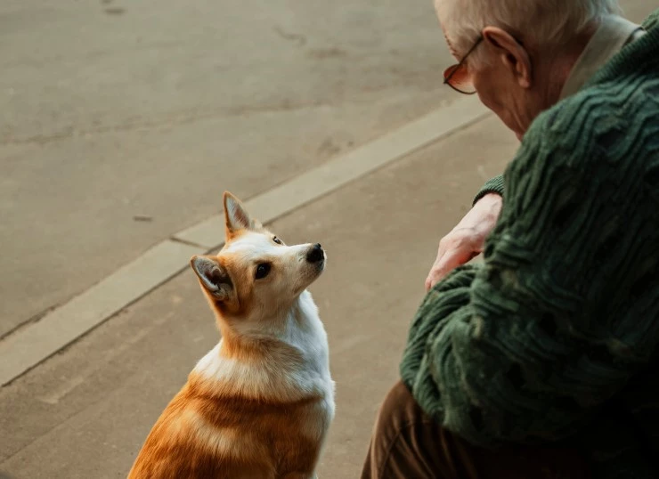 Дедушка без адреса (2025) 1 сезон 1-1,2 серия в хорошем качестве смотреть онлайн Дедушка без адреса (2025) сериал 1-1,2 серию 1 сезона в хорошем качестве смотреть онлайн