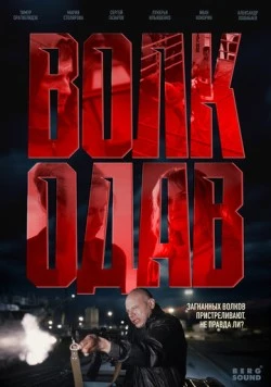 Волкодав (2025) cериал смотреть онлайн Волкодав (2025) cериал смотреть онлайн в хорошем качестве