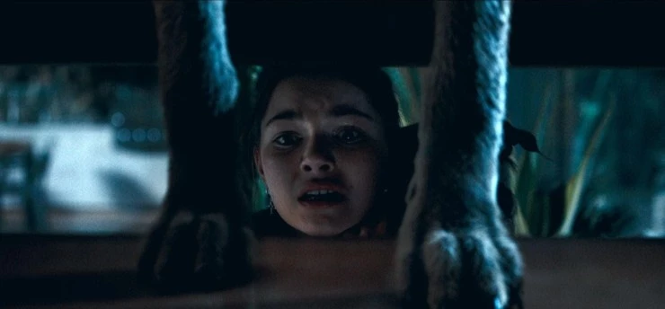 Койот (2025) смотреть онлайн Койот (2025) фильм смотреть онлайн