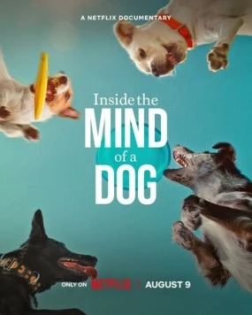 О чем думают собаки / Inside the Mind of a Dog (2024) фильм смотреть онлайн О чем думают собаки / Inside the Mind of a Dog (2024) фильм смотреть онлайн в хорошем качестве