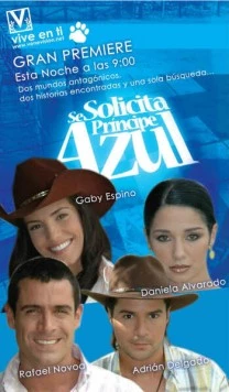 В поисках идеального мужчины / Se solicita príncipe azul (2005) фильм смотреть онлайн в хорошем качестве