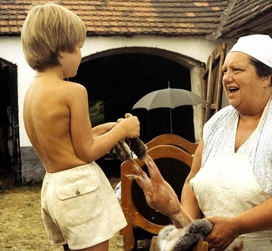 Экспериментатор (1984) смотреть онлайн бесплатно Экспериментатор (1984) фильм смотреть онлайн бесплатно